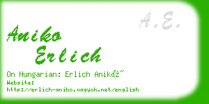 aniko erlich business card